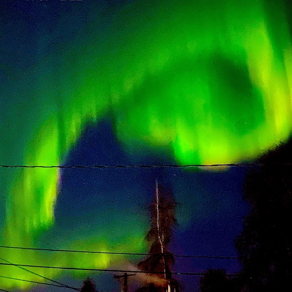 was that an accidental bid? - Picture 10 of 10